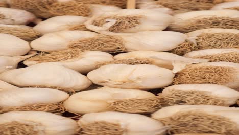 closeup of fresh garlic bulbs