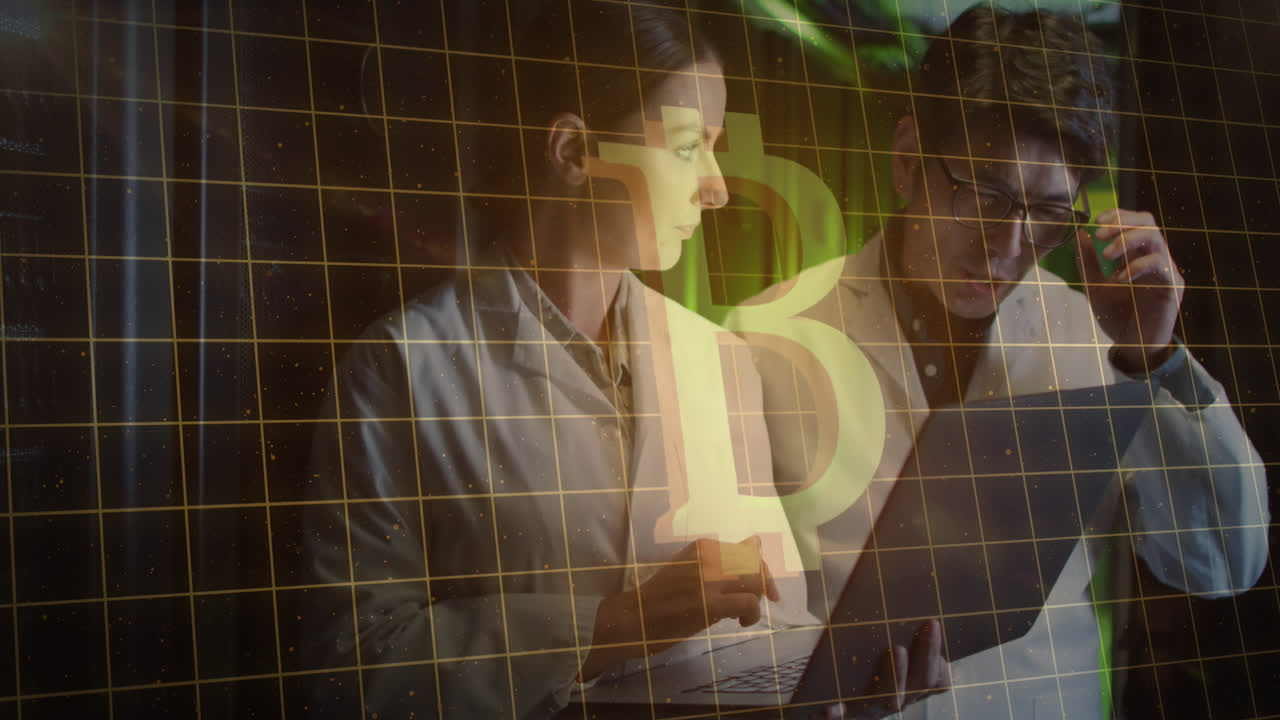 서버 의 다양한 작업자들에 대한 데이터 처리 및 비트코인 애니메이션