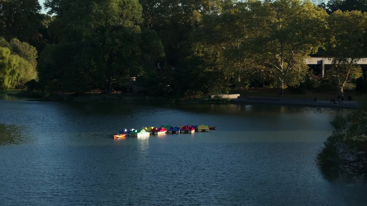 Vista aerea di pedalò nel lago di Prospect Park. Ripreso una mattina di ottobre a Brooklyn, New York.