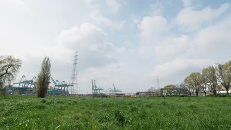 vista de la hierba del puerto de amberes con grúas del puerto en el fondo - amberes, bélgica - toma cinematográfica de gimbal