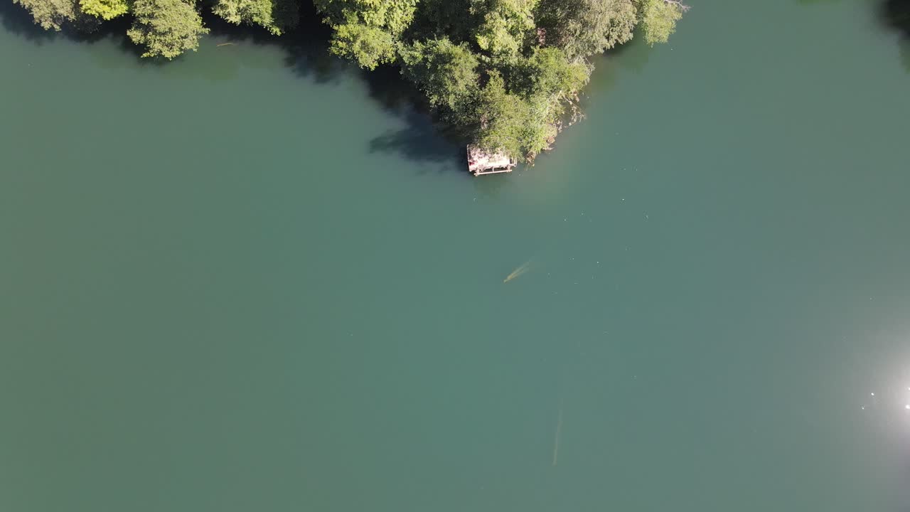 자연 녹색 숲 호수