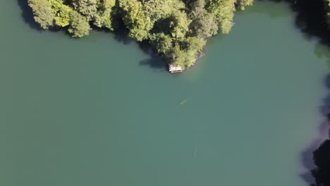 Lago-Del-Bosque-Verde-Natural