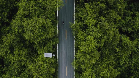 Vista-Aérea-De-Una-Persona-Patinando-En-Un-Camino-Vacío-Entre-árboles