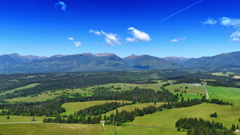 beautiful green meadows with pine tree woods. spectacular tatra mountains at backdrop