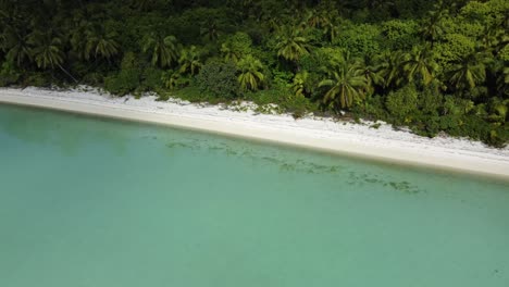 Playa-De-Arena-Blanca-Bordeada-De-Palmeras-En-Una-Isla-Tropical-Con-Tiro-De-Drones-De-Agua-Clara