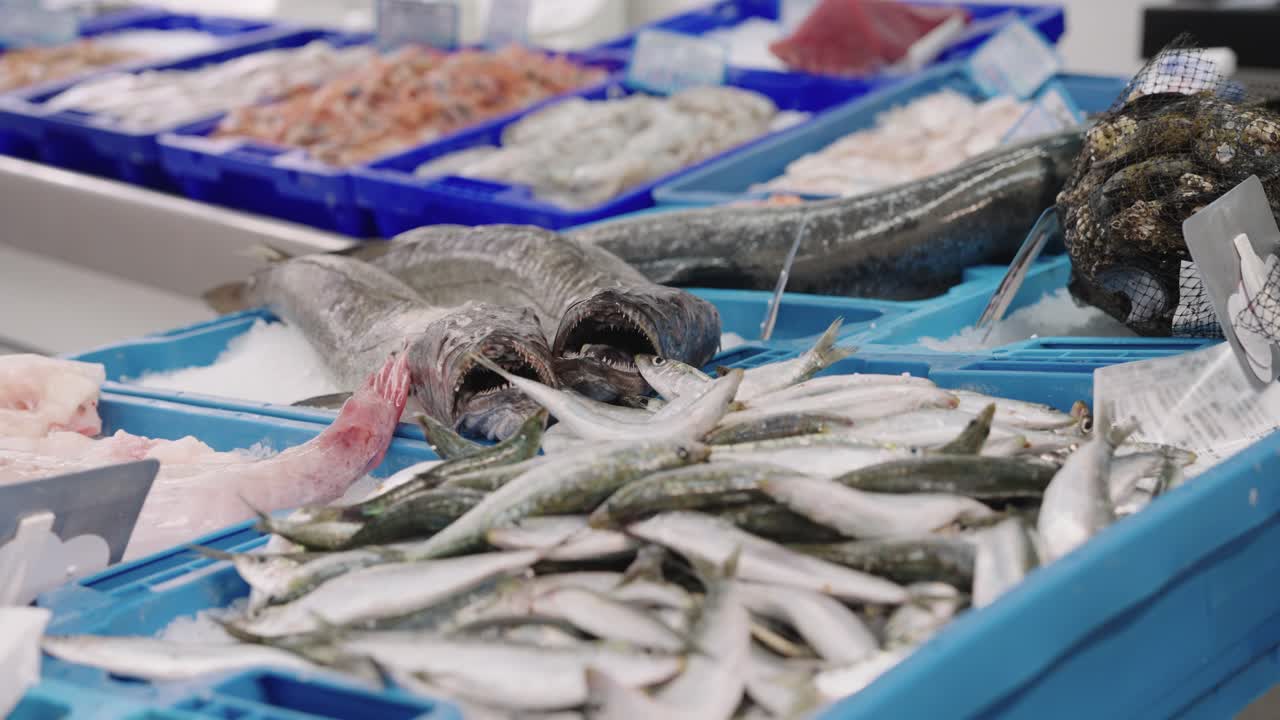 Boxes of fresh fish and seafood in fishmonger's shop