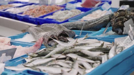 boxes of fresh fish and seafood in fishmonger's shop