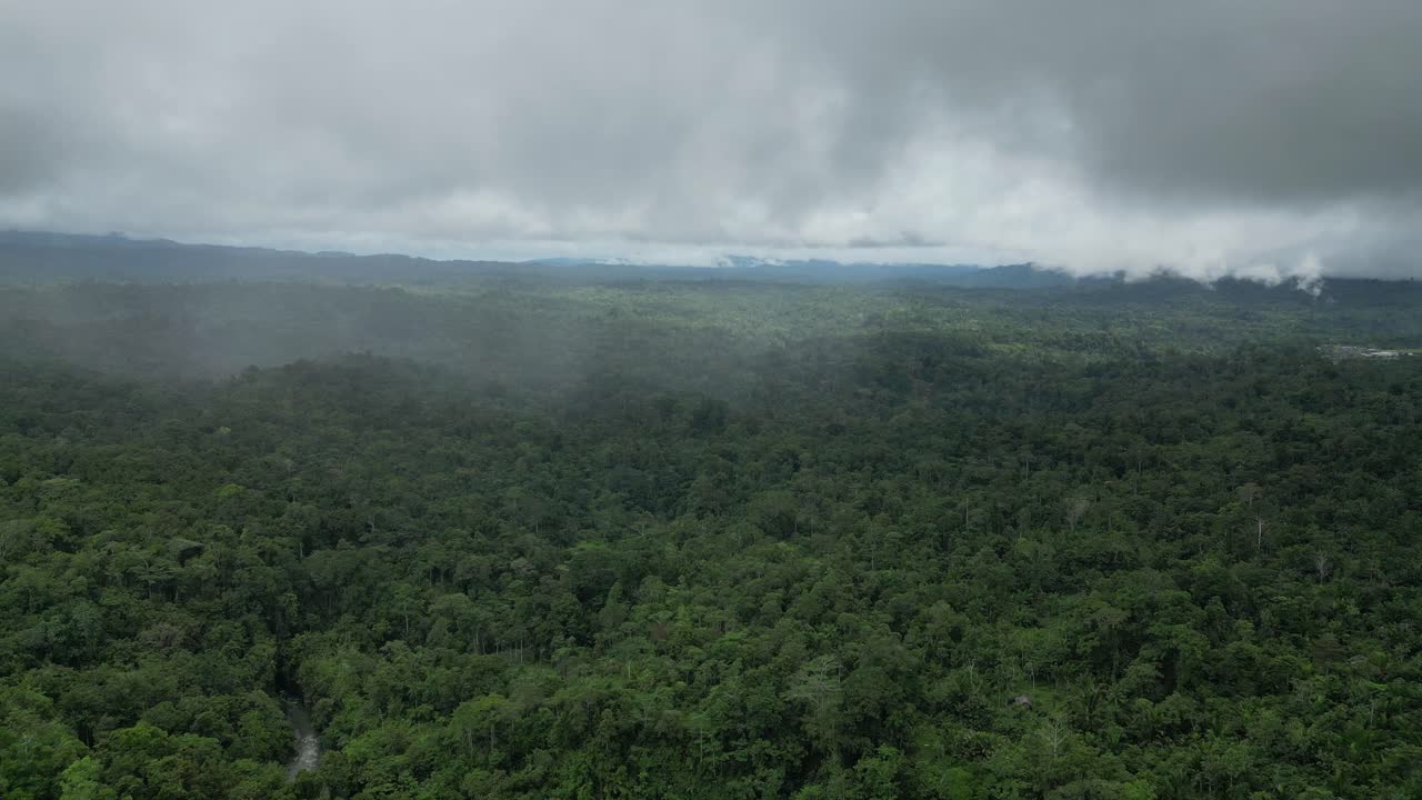 nubes de lluvia con chubascos ligeros cayendo sobre selva virgen