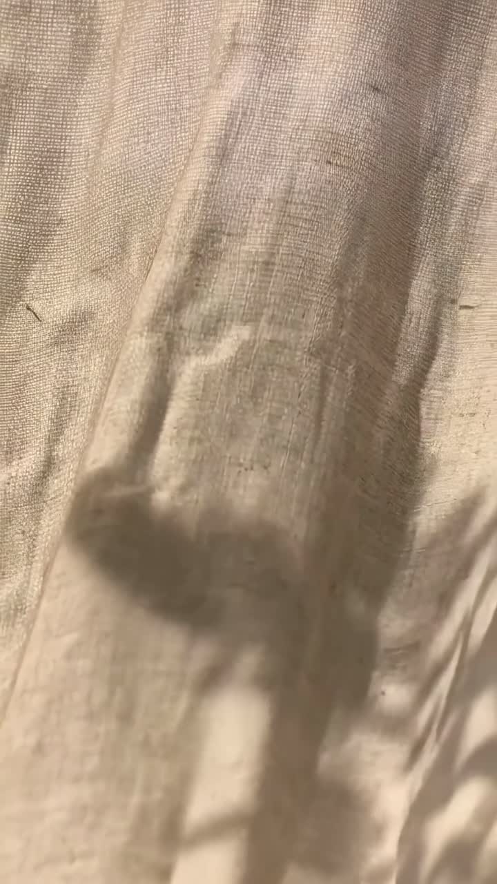 Video ravvicinato della luce del sole che proietta ombre di piante su un tessuto trasparente, creando un effetto tenue e da sogno