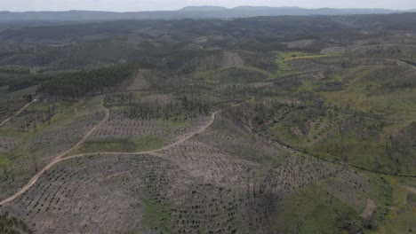 Vista-Aérea-Del-Paisaje-De-Proença-A-Nova