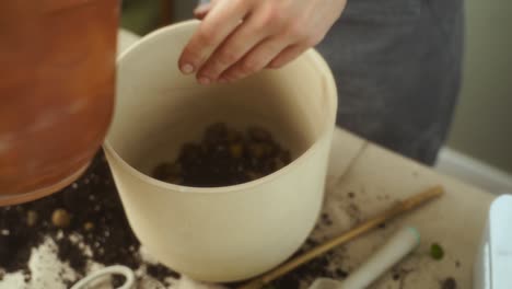 Crop-woman-putting-clay-pebbles-and-soil-in-pot