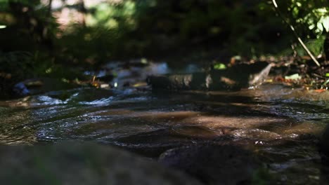 slow motion macro shot of a mans boot splashing into a puddle while hiking in the outdoors of canada