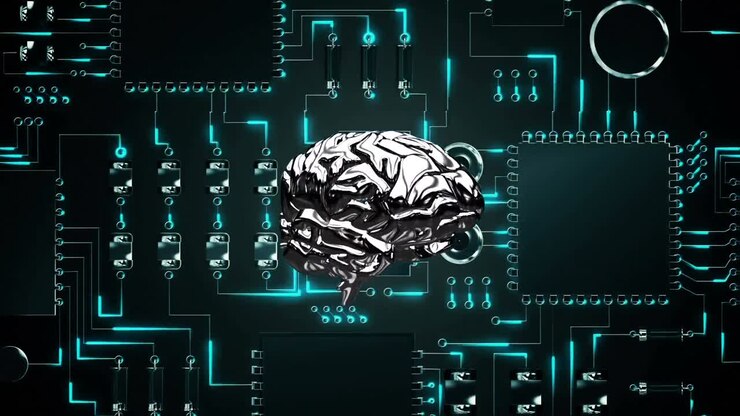 Brain and a digital circuit