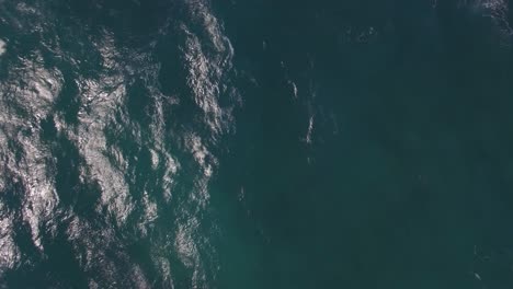 volando sobre el océano con grandes olas espumosas