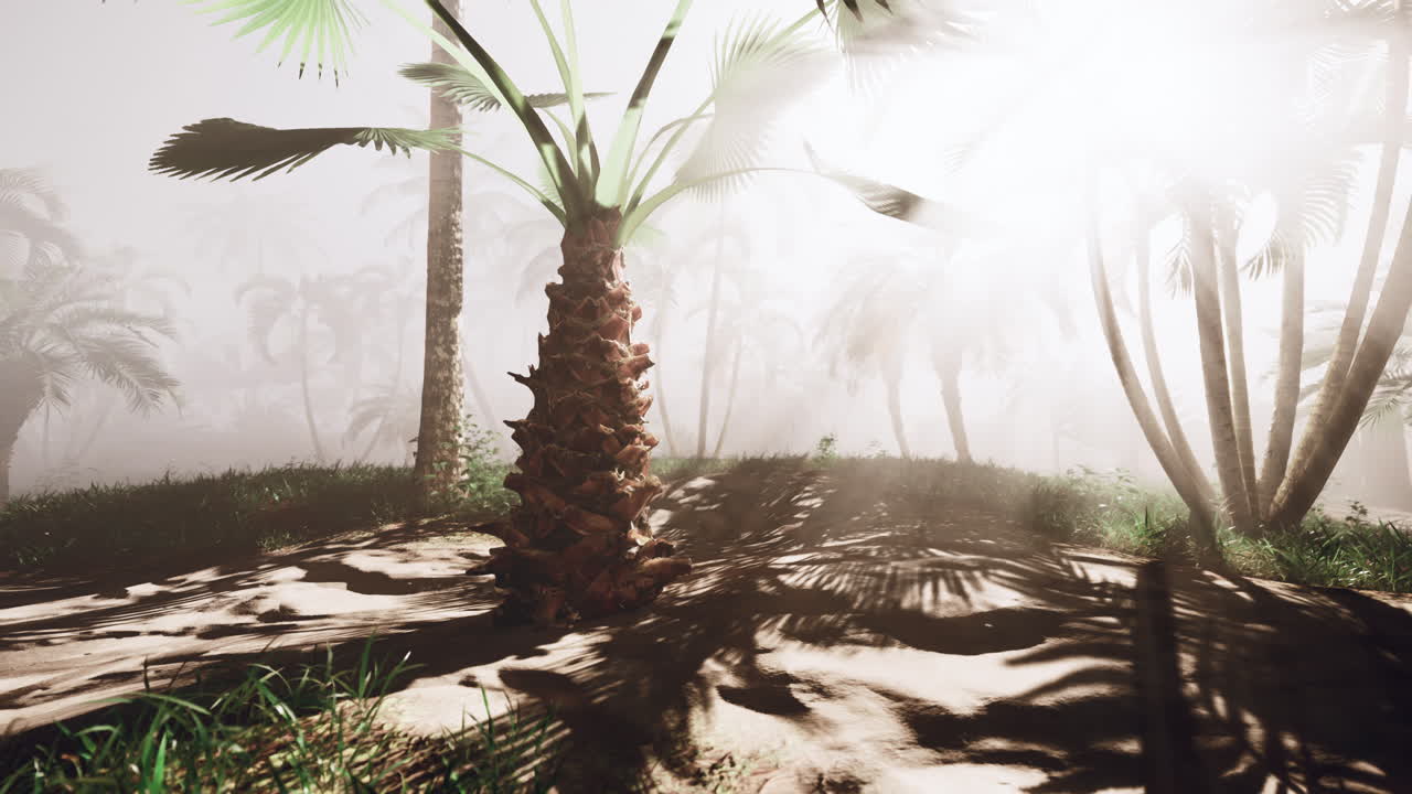 열대 정글 의  나무 들