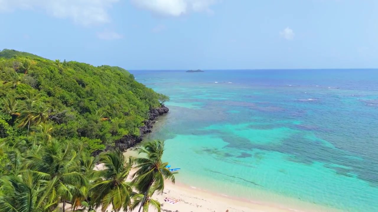 Flyger över träd vid Playa Ermitano med turister en solig dag. El Valle, Samana, Dominikanska republiken. Flygfoto.