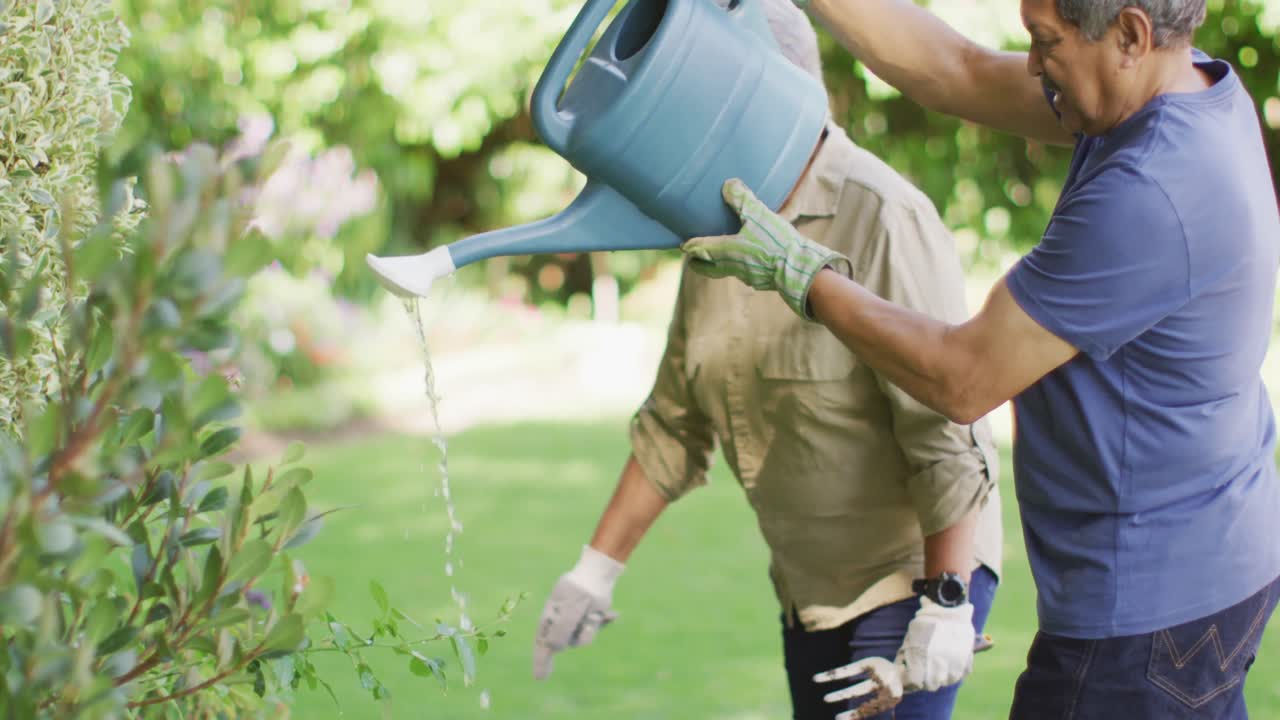 video de una feliz pareja de ancianos biraciales regando plantas en el jardín