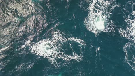 grupo de ballenas nadando bajo el agua en el océano