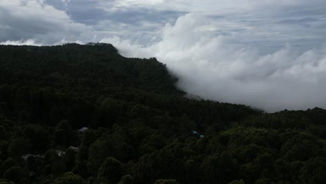 landscape scenery of the beautiful mountains and low clouds in the north of bali, indonesia