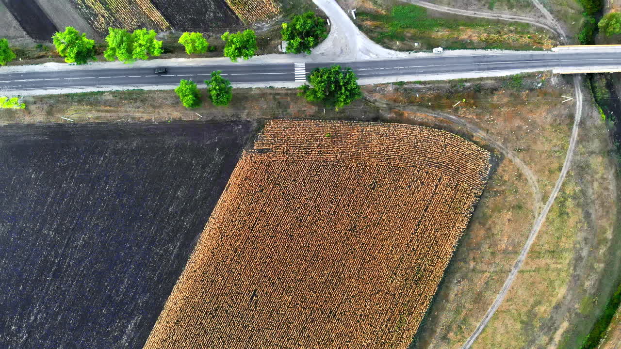 Aerial drone view of a road with moving car in highland. Green fields and hills from north part of Moldova