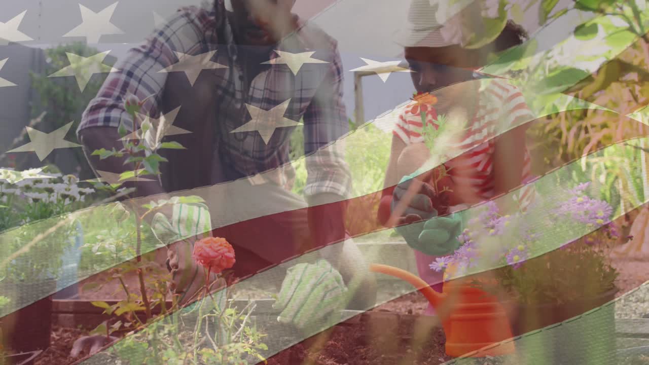 animación de la bandera de los estados unidos de américa sobre un padre y una hija afroamericanos que hacen jardinería