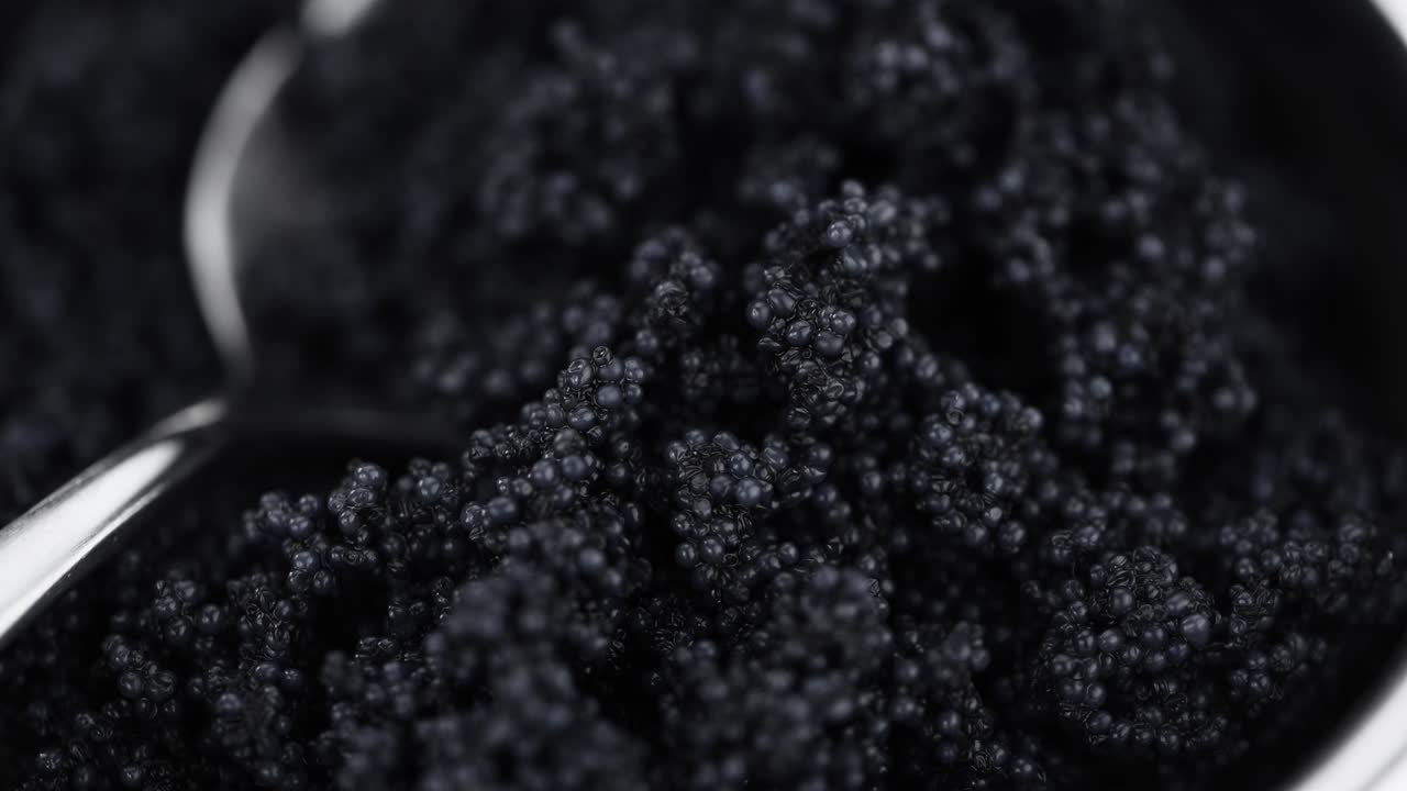 porción de caviar negro girando en un plato (de cerca; en bucle sin costuras)