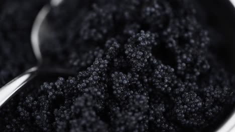 portion of black caviar rotating on a plate (close-up; seamless loopable)