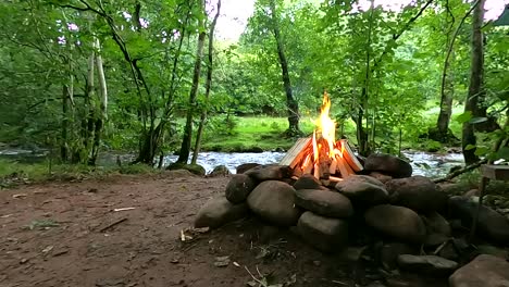 a fire cracklining by a rushing river in wild woods