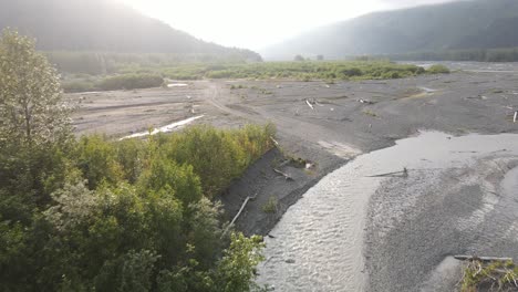 Flussboden-Mit-Vielen-Bäumen-Und-Pflanzen-Aus-Der-Luft