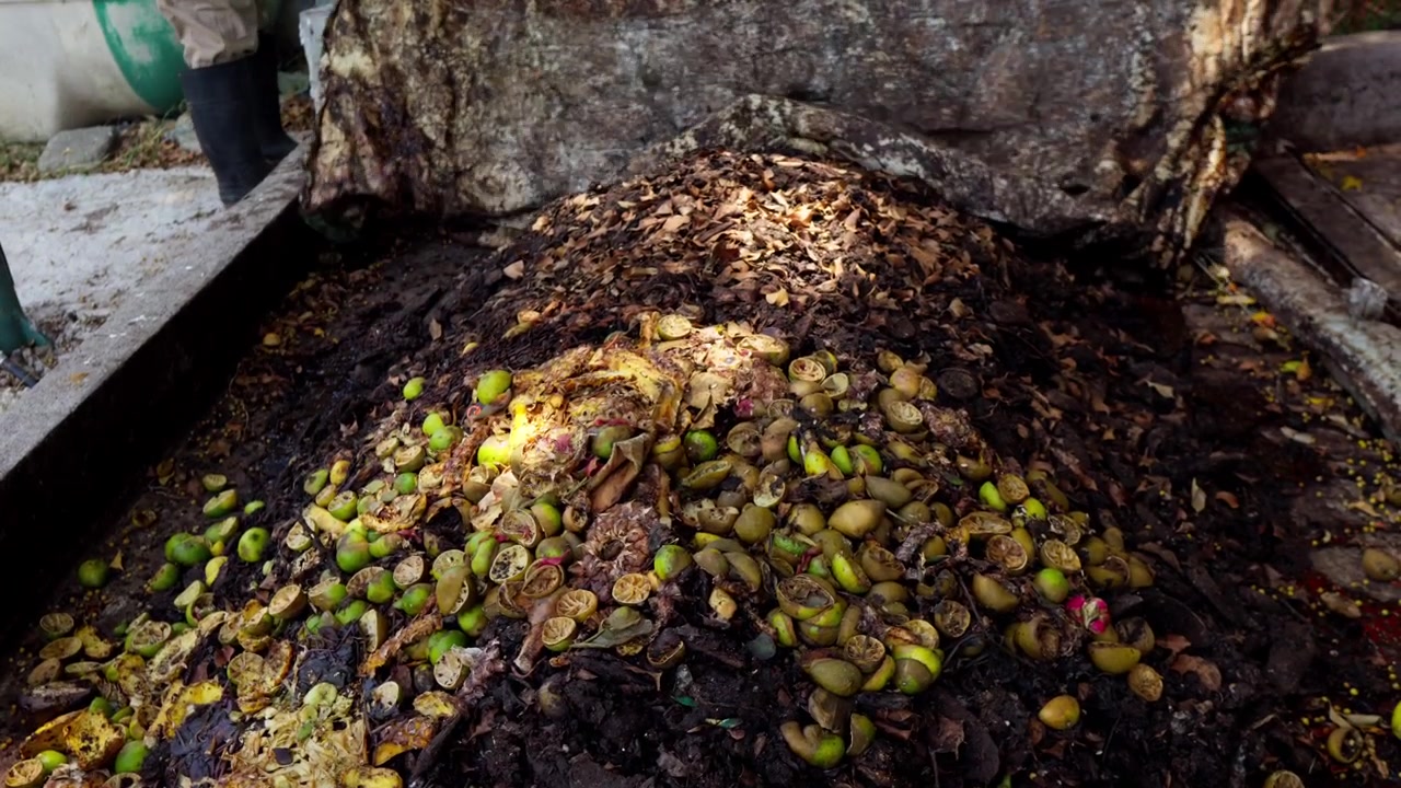 Unrecognizable workers in protective gear unearthing a pile of organic waste at a circular agribusiness facility in Mexico. This process is part of transforming urban and agro-industrial biomass into