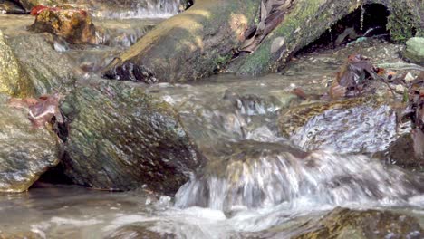 a natural stream flows over a rocky surface