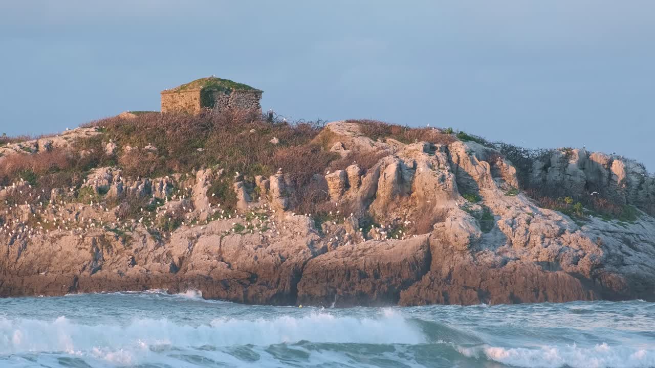 Rocky Island with Birds and Small Stone Building in Ocean