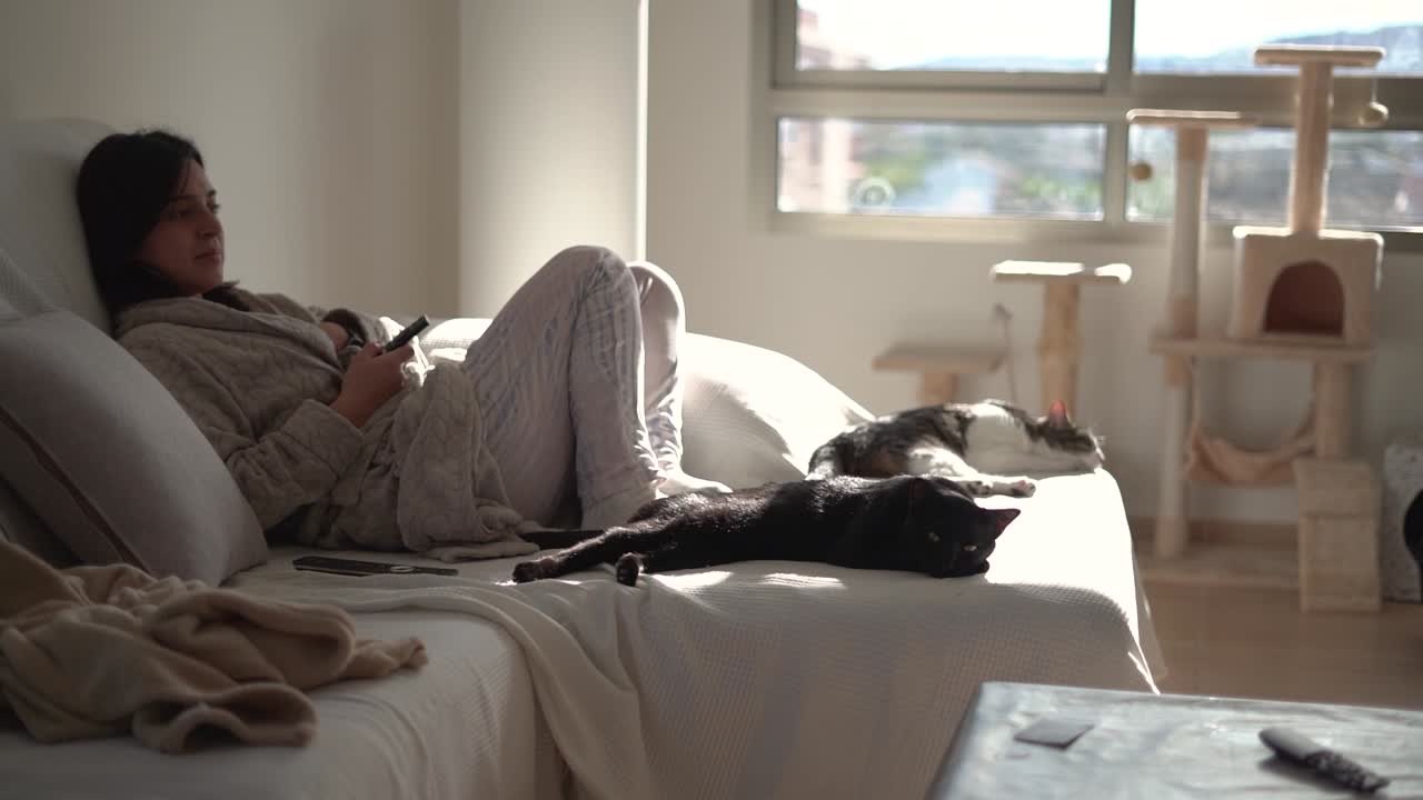 고양이가 집 안에서 소파에 앉아 잠을 자고 있다