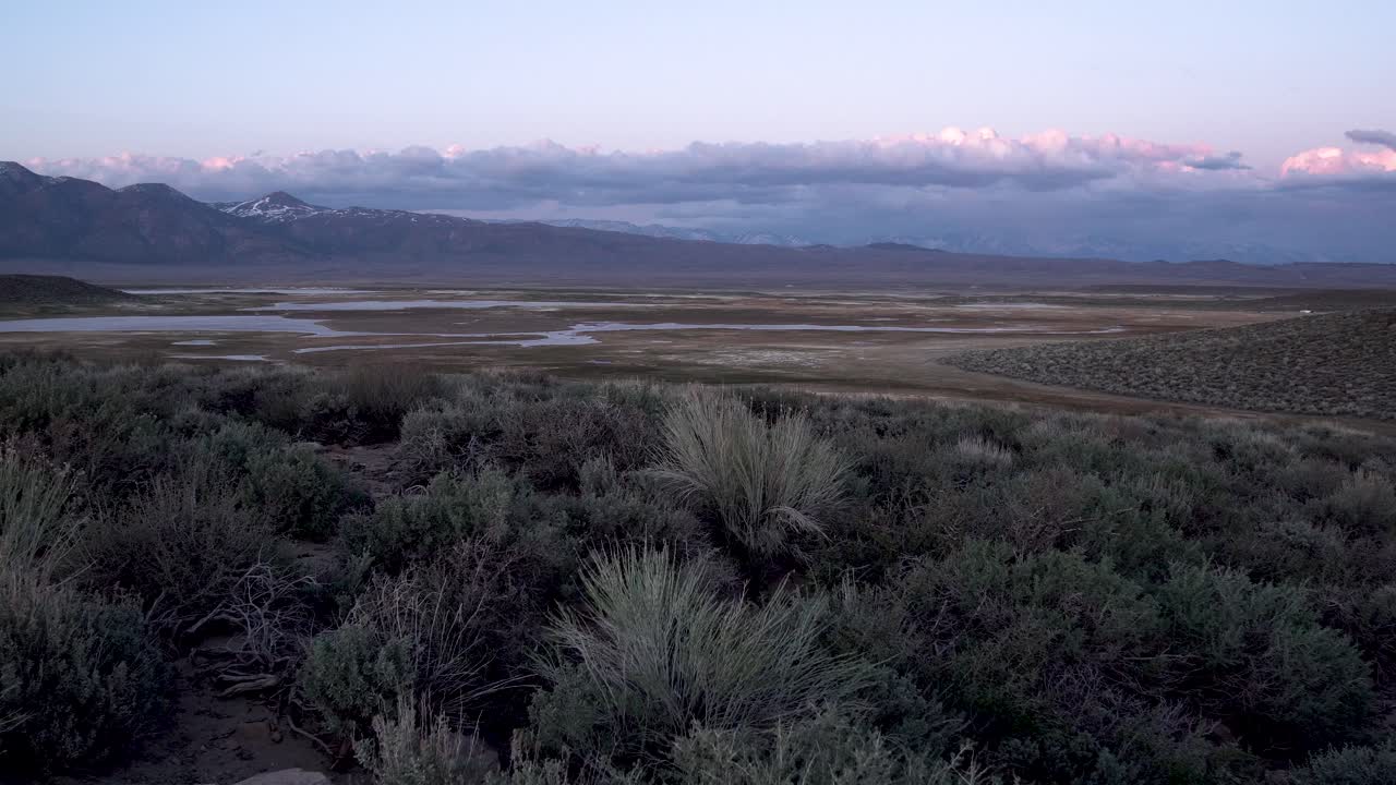 멀리 작은 저수지 호수가 있는 캘리포니아 모하비 사막의 관목, 공중 비행 저속 촬영