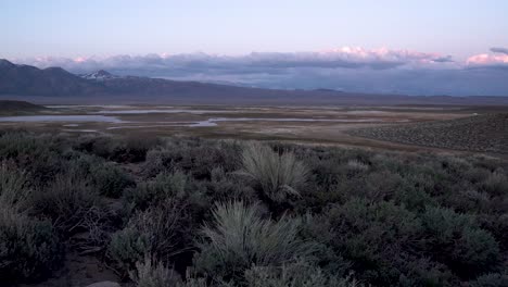 shrubs in mojave desert, california with small reservoir lake in the distance, aerial flyover low slow shot