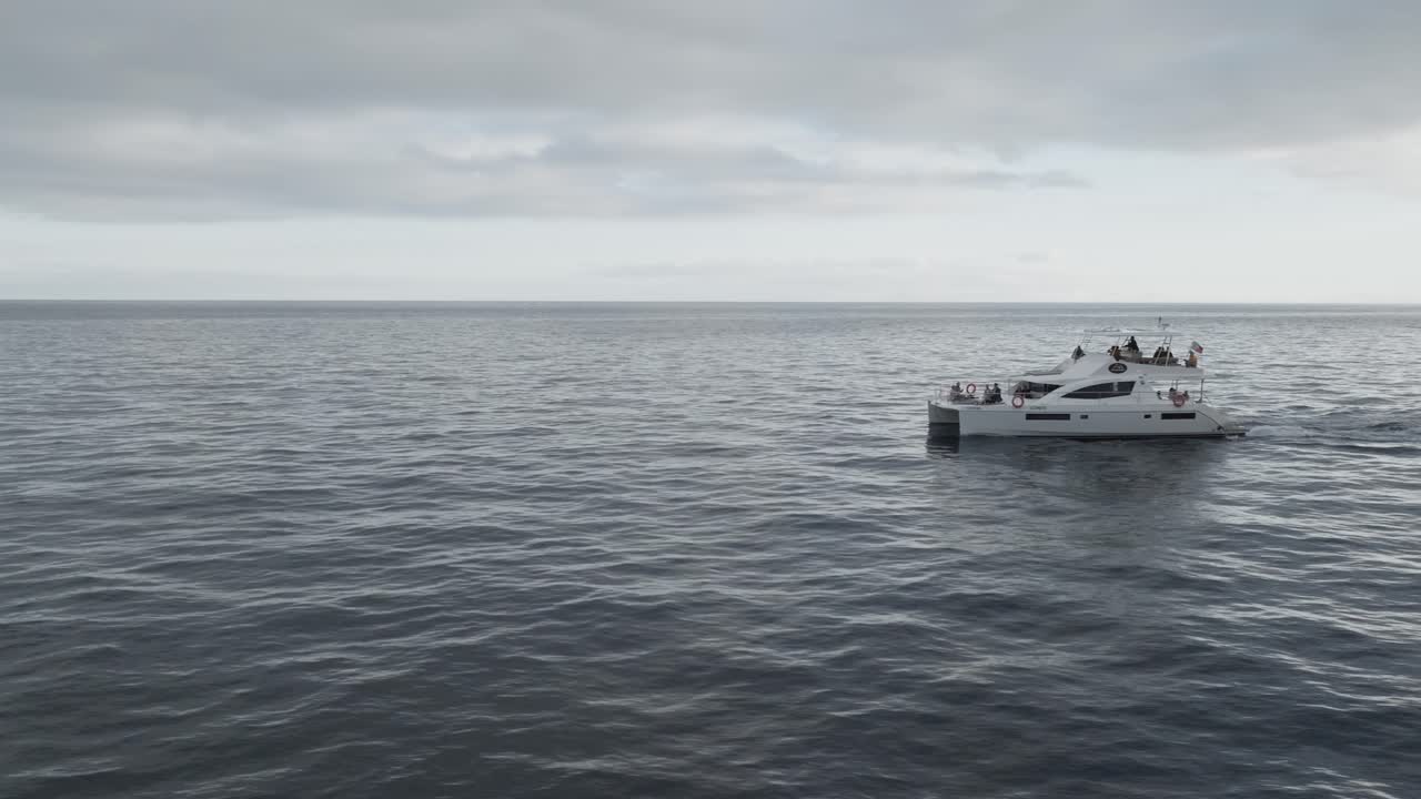turistas en catamarán navegando tranquilamente en la costa de funchal en madeira, portugal