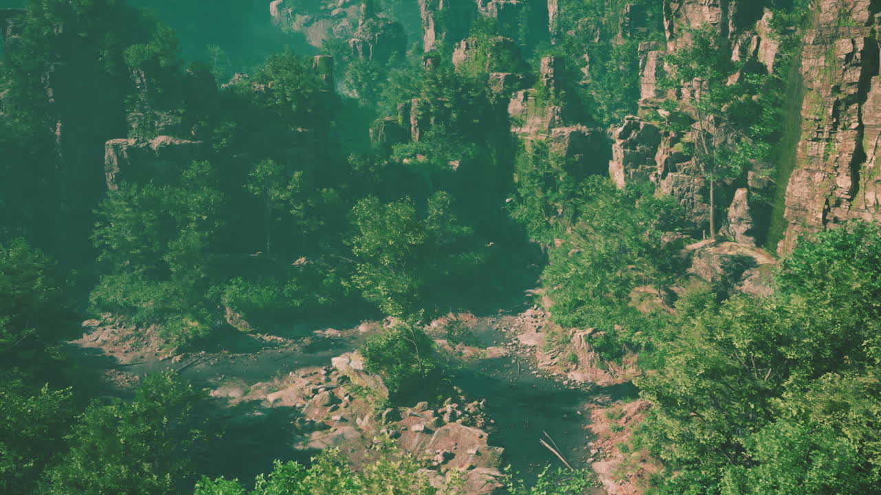 vista aérea de un bosque montañoso con un río