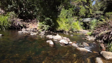 Schönes-Klares-Wasser-Fließt-Einen-Flachen-Bach-In-Einem-Bewaldeten-Wald-Hinunter,-Der-Mit-Felsen-Bedeckt-Ist,-Mit-Einer-Brücke-Am-Ende