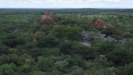 disparo aéreo de drones acercándose a un remoto campamento de arbustos situado en la vasta y exuberante sabana africana, sudáfrica