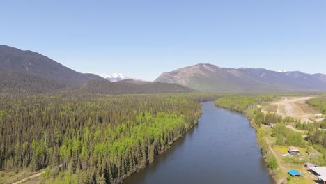 drone footage of deforestation in the canadian forest
