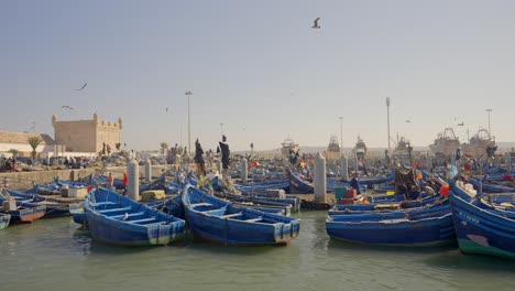 fishing boats at a coastal port in morocco