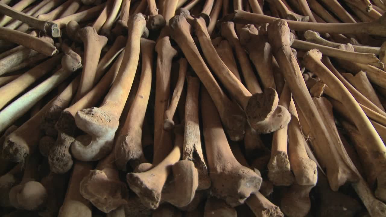 cientos de huesos de las piernas se alinean en las catacumbas de una iglesia tras el genocidio de ruanda