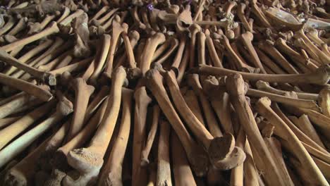 cientos de huesos de las piernas se alinean en las catacumbas de una iglesia tras el genocidio de ruanda