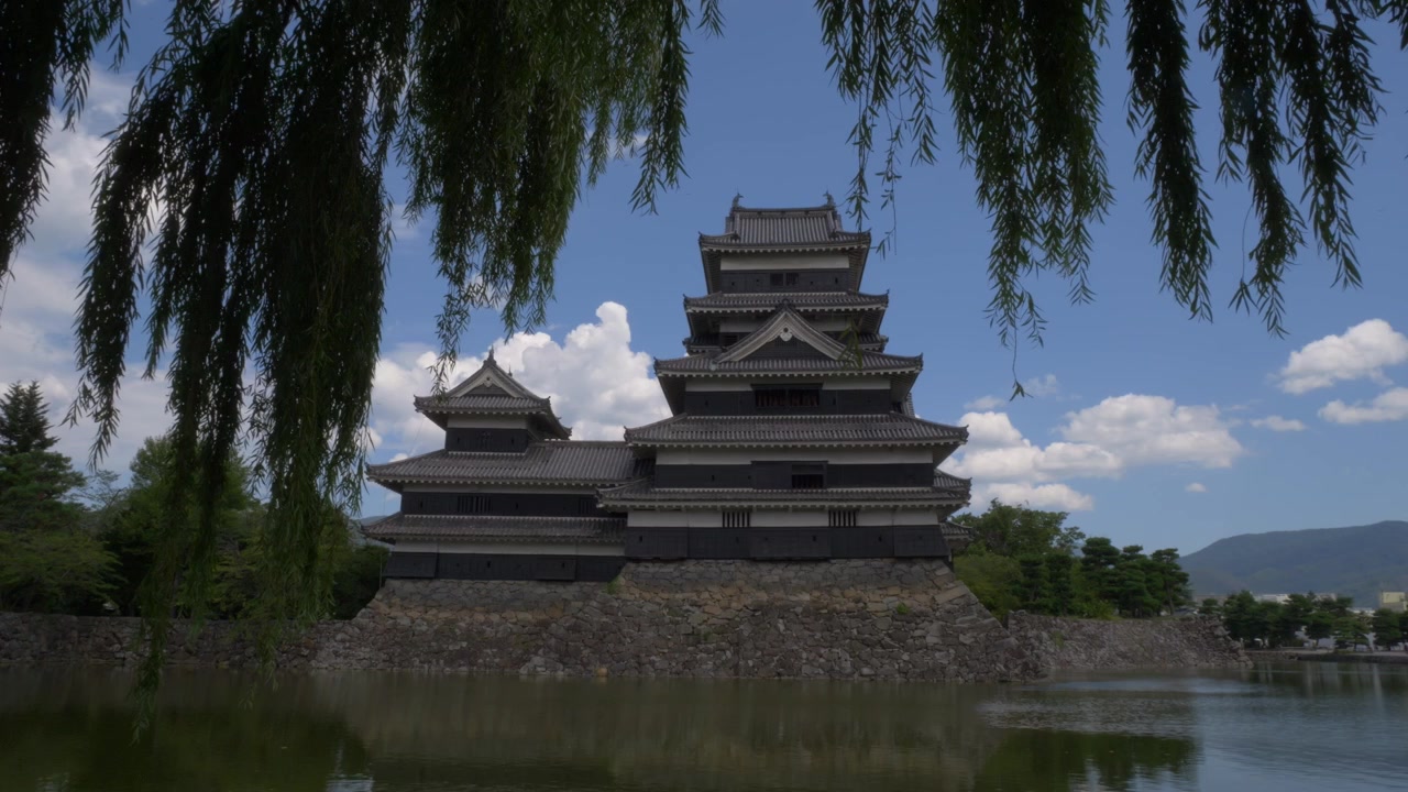Historisk sorte Matsumoto Slot over en reflekterende voldgrav under blå himmel, med hængende pilegrene i forgrunden. Vidvinkelbillede.