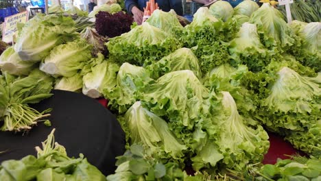 fresh lettuce at a farmers market