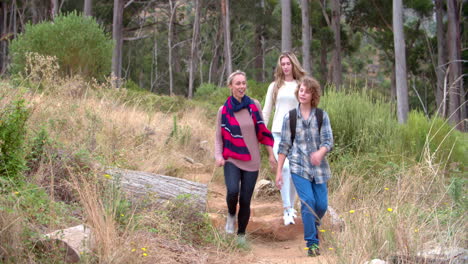 mother with two kids walking through forest towards camera