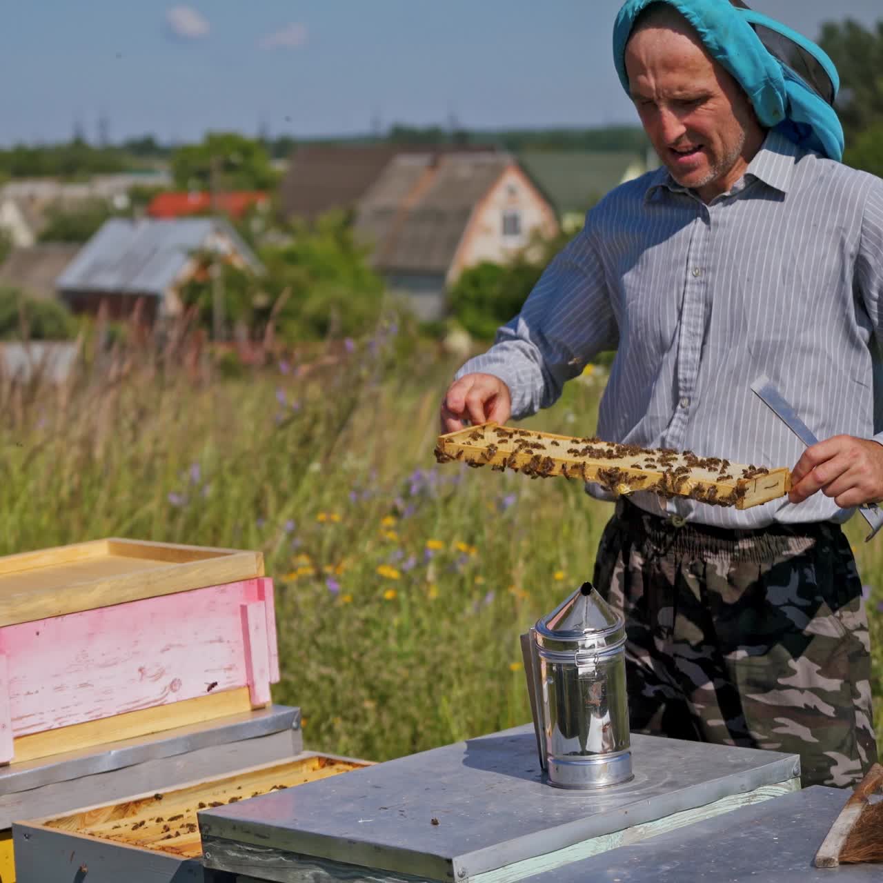 Beekeeper on the apiary. Farmer checking honeycombs with bees. Apiarist looking after bees in the countryside in summer day.