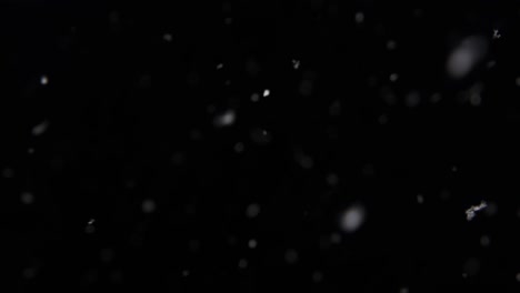 quick-paced light snow in a pitch black winter night