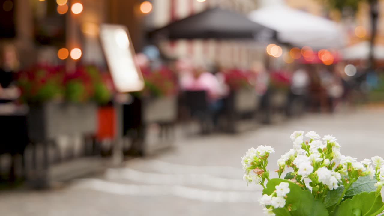 Couple walks by white blossoms in foreground, outdoor cafe, cobblestone street, shallow depth, daylight