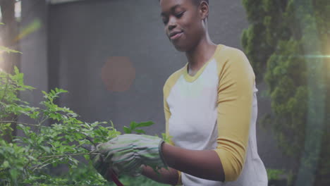 spot of light against portrait of african american woman cutting leaves of plants in the garden